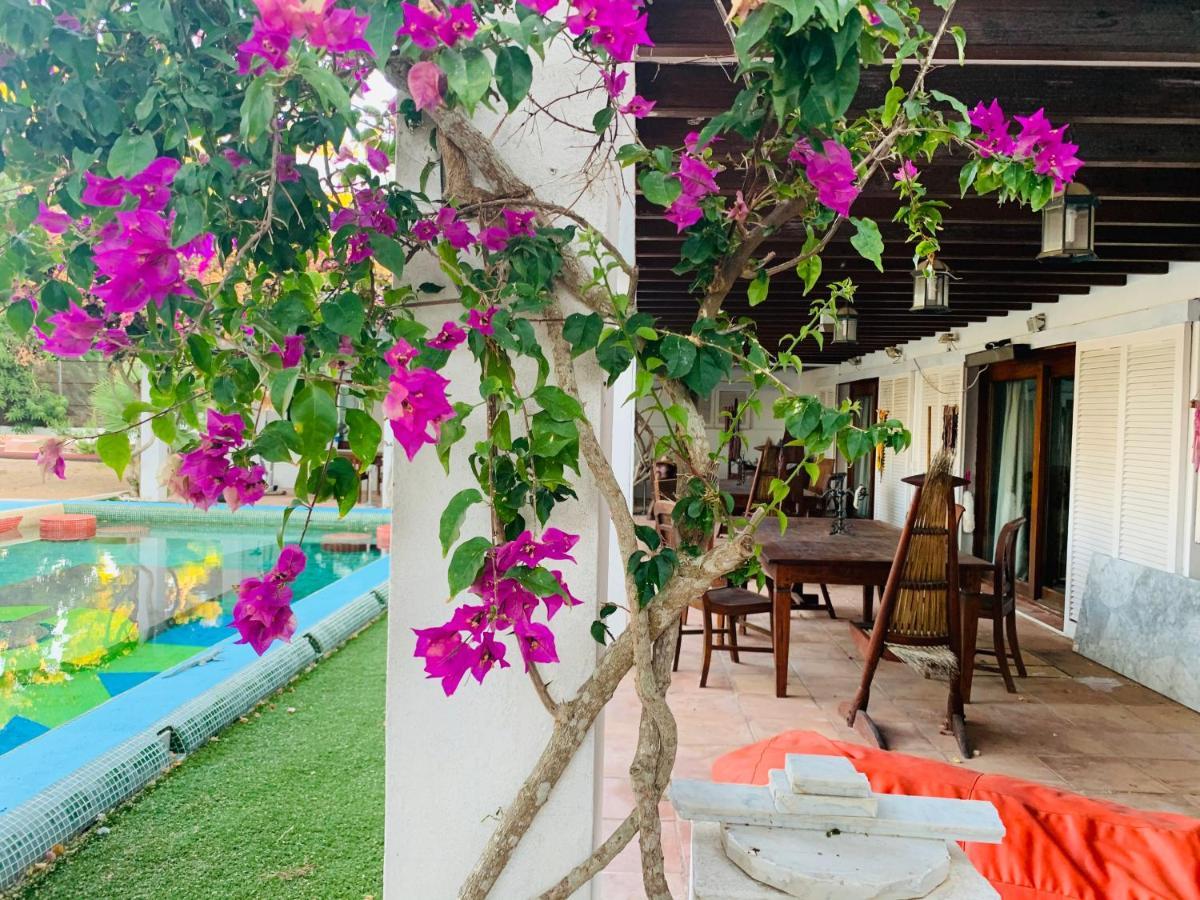 Ibiza Paradise Bed and Breakfast Santa Eularia des Riu Eksteriør billede
